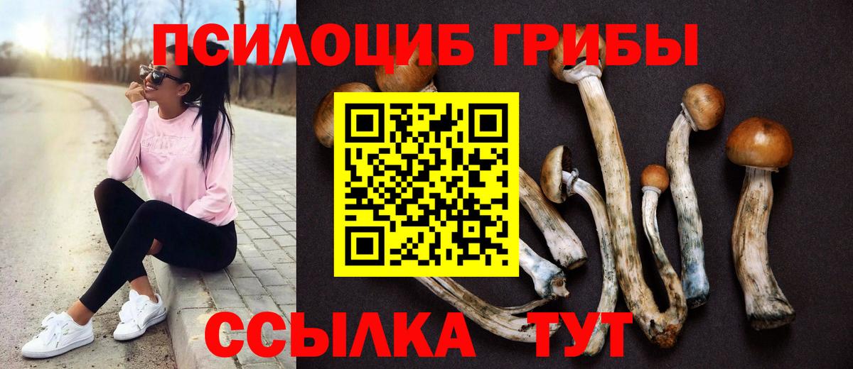 Галлюциногенные грибы Cubensis  Вход с VPN  Волжский  Псилоцибиновые грибы GOLDEN TEACHER 