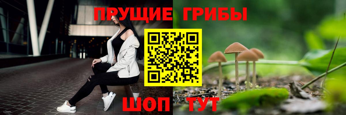Псилоцибиновые грибы Cubensis Волжский
