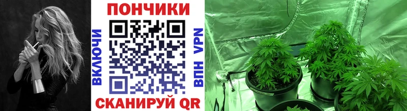 где продают наркотики  Волжский  Бошки Шишки Amnesia 