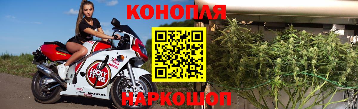 Марихуана планчик Волжский
